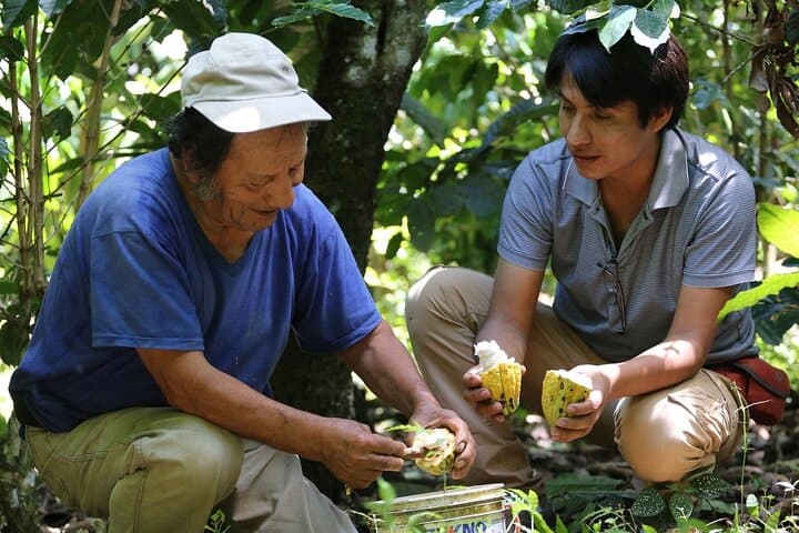 Authentic 2-Day Cacao Tour in Cusco Jungle with Local Homestay