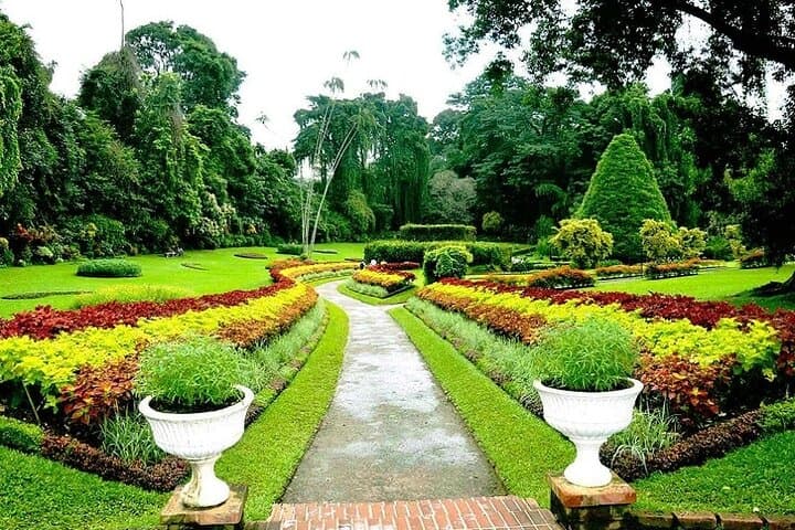 Return Airport Transfers & Kandy Day Tour From Colombo