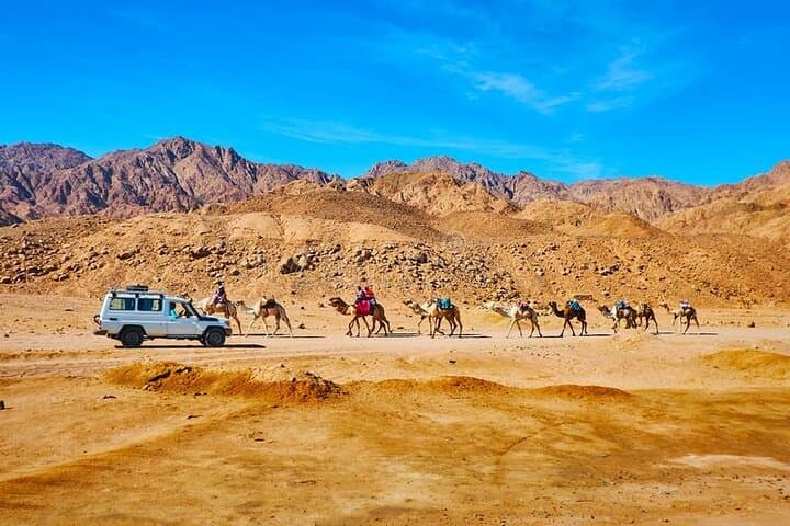 Jeep and Camel Safari 2 Days and 1 Night from Dahab