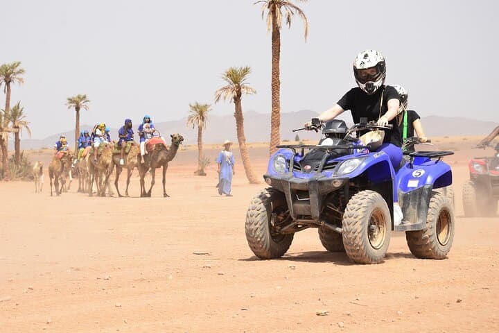 Live an unforgettable adventure, quad ride in the palm grove