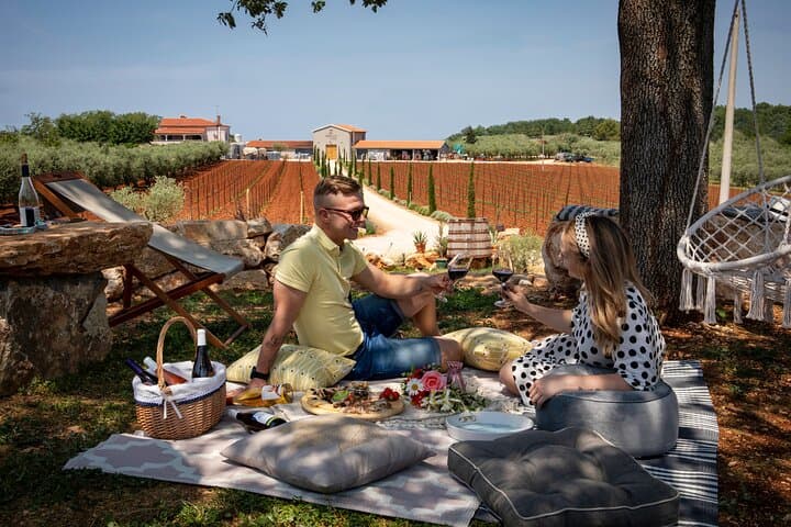 Wine picnic