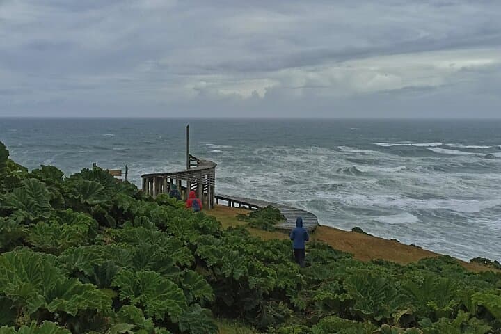 Private Activity Hiking, Time Wharf - Tricolor.