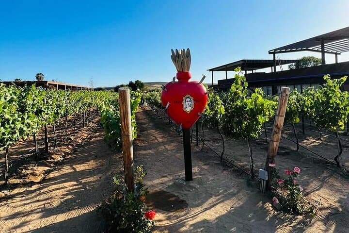 Full Day Tour on the Wine Route, Valle de Guadalupe