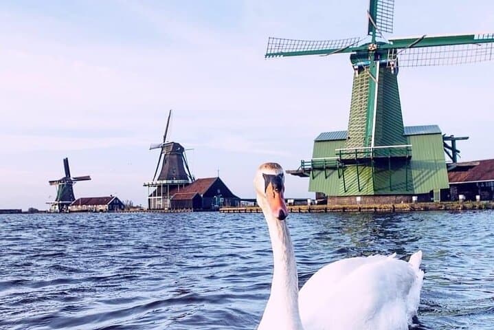 Zaanse Schans Windmills, Countyside & Fishing Villages