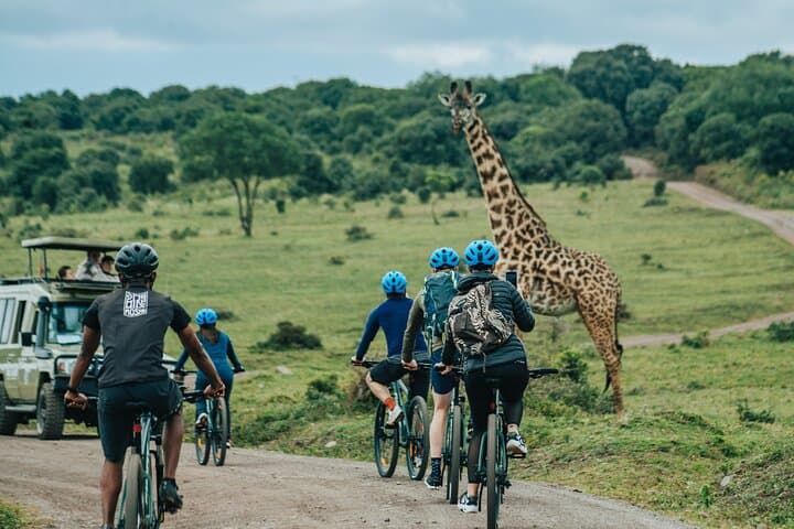 Arusha National Park E-Bike Safari Day trip