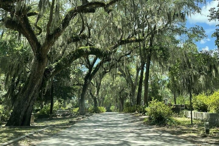 Bonaventure Cemetery History Tour