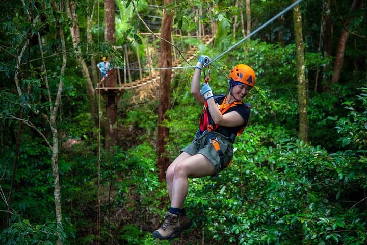 Cape Tribulation & Ziplining: Ultimate Daintree