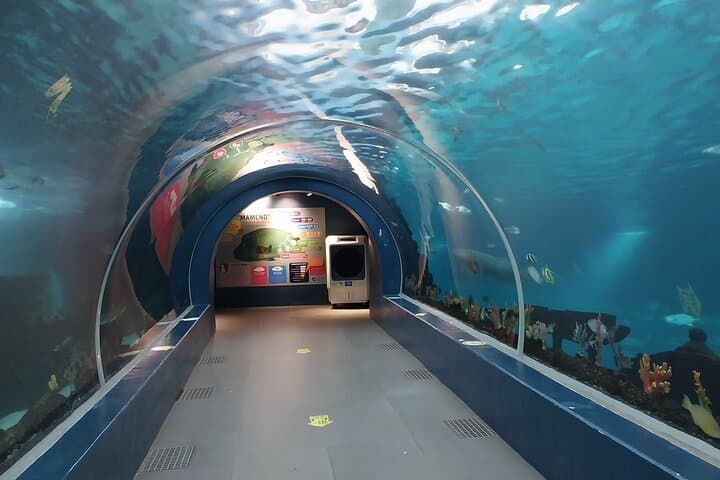 Cebu Ocean Park