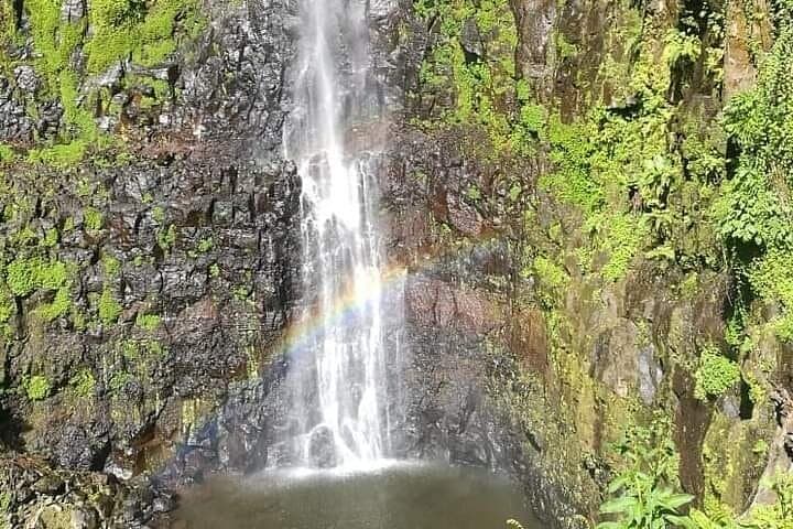 Mbokomu WATERFALL and TALLEST TREE IN AFRICA
