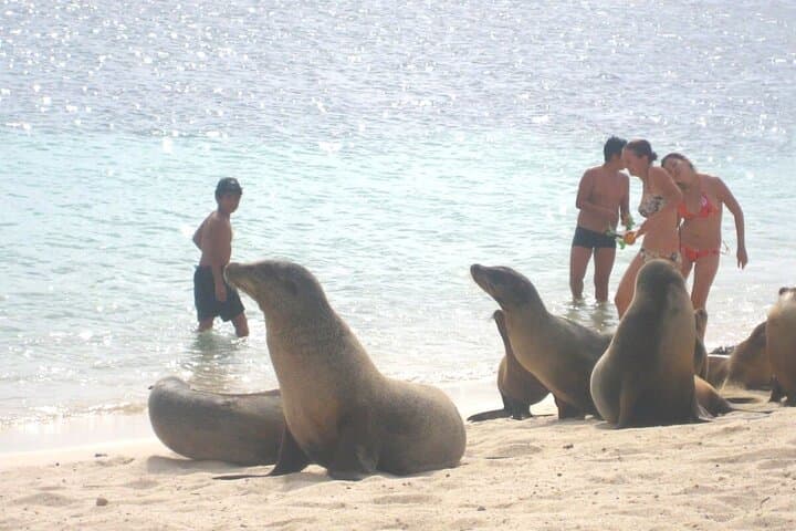 Experience the Best of Ecuador and Galapagos Islands - 12 Days