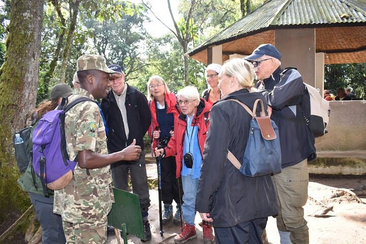 3 Days Bwindi Gorilla Trekking with a Domestic Flight