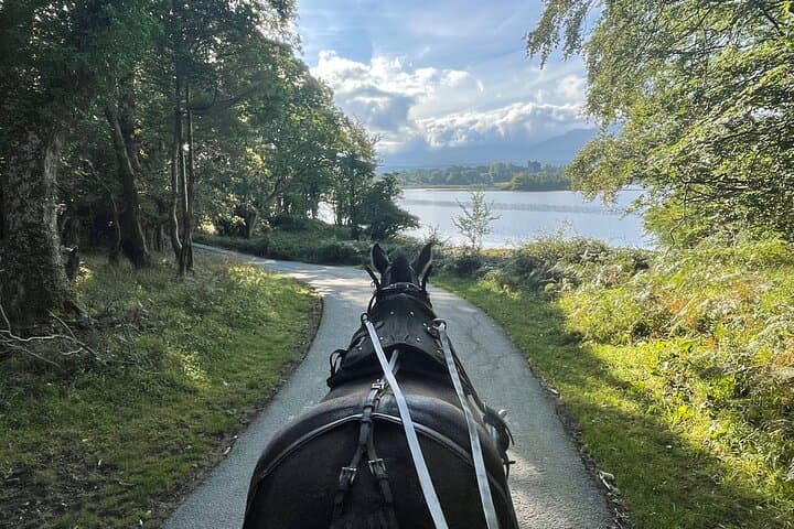 Horse-Drawn Carriage Tours in Killarney