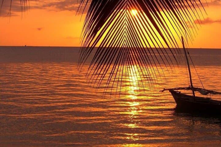 12 Days Bush to Beach Safari With Zanzibar Extension