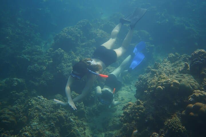 Wonderful snorkelling spot from Manila 2 hours from Manila