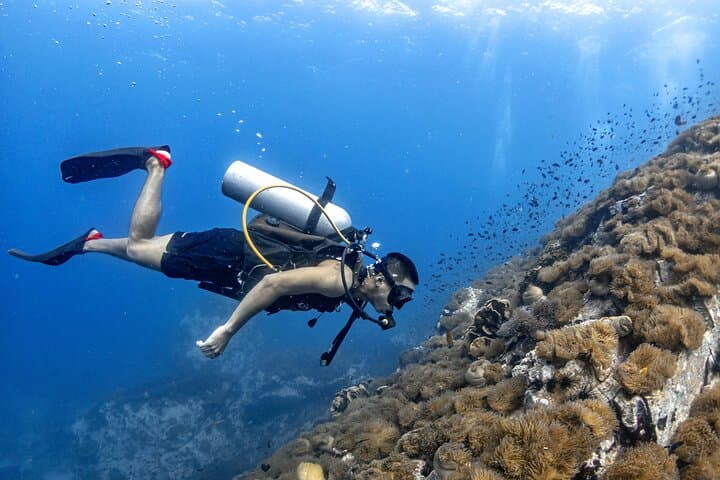 Basic Diver ( One Day Experience)