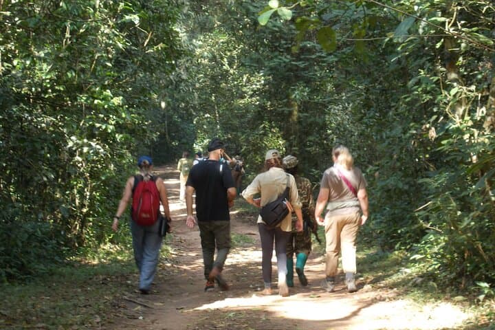 2 Days Gorilla Trekking in Bwindi through Kigali