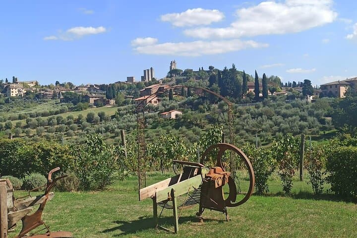 HALF-DAY: Chianti Classic Tour with Wine Experience & visit of San Gimignano