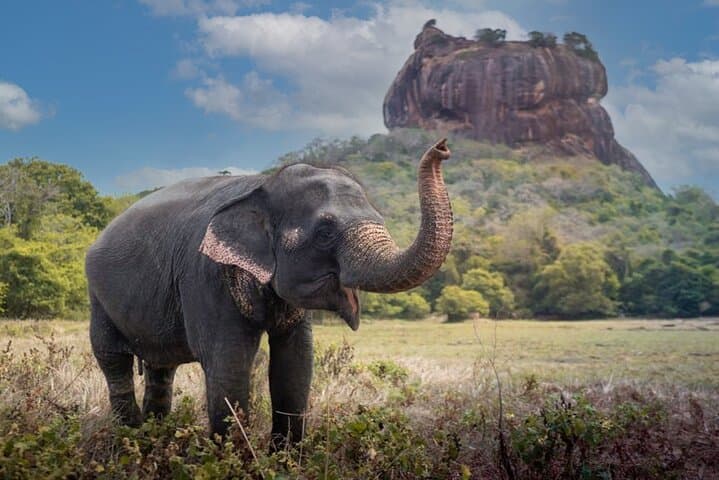 Private day Tour Sigiriya & Dambulla Cave Temple with Entrance Fee & Lunch