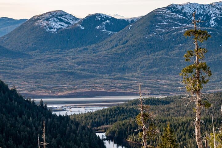 Private Ketchikan Alpine Overlook Adventure Trek