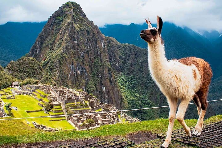 Machu Picchu Day Trip from Ollantaytambo and Urubamba