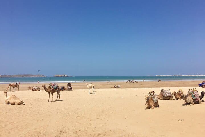 Supratours Marrakech to Essaouira Moroccan Bus Tickets