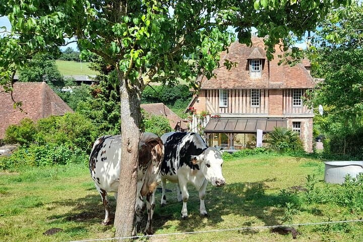 Private Honfleur, cider/cheese trail - Bayeux and Caen