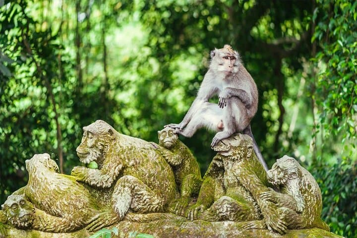 All-Inclusive Ubud Bali Private Full-Day Tour