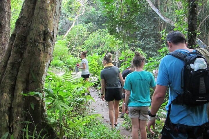 Overnight Mae Taeng highlands Trek from Chiang Mai