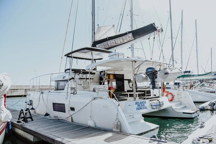 Funchal : Observation of dolphins and whales in a luxury catamaran