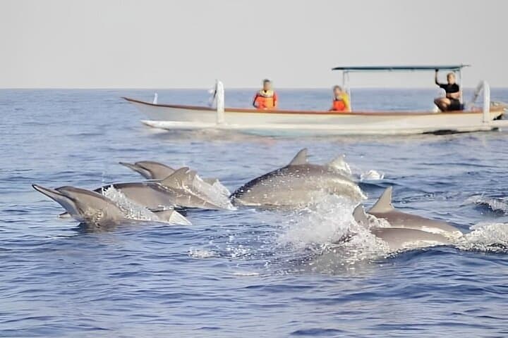 Watching Dolphin Tour at Lovina Beach