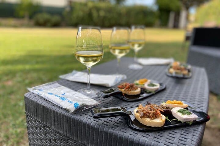 Guided E-Bike tour with food and wine tasting.