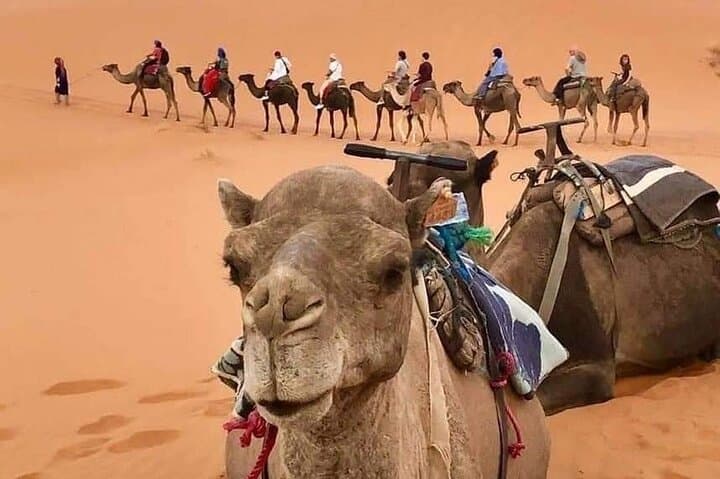 4 Days Desert Tours from Marrakech to Merzouga
