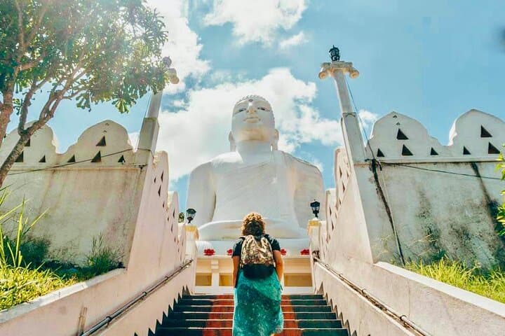 All Inclusive Kandy Private Day Tour From Colombo and Negombo