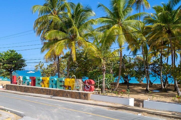 Private Shuttle from Punta Cana to Las Terrenas or Viceversa