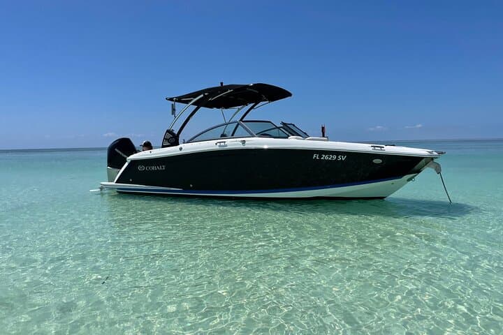 Key Largo Dolphin Day Tour