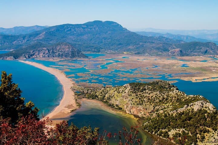 Bodrum Turtle Beach Tour With Mud Baths & King Tombs