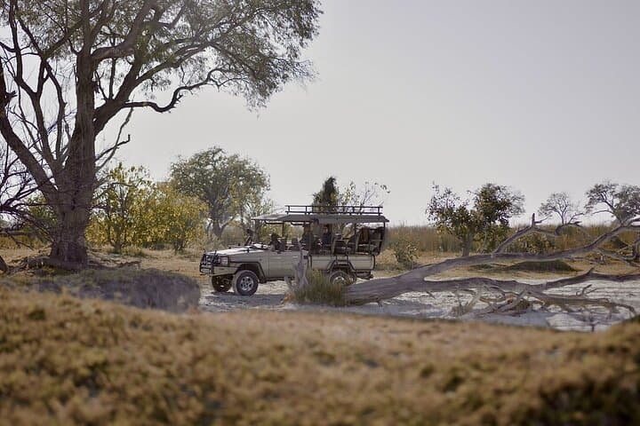 8 Day Chobe NP, Elephant Sands, Okavango Delta & Victoria Falls