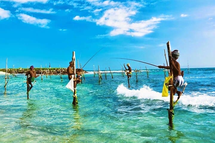 Galle & Benthota Full Day Tour From Colombo