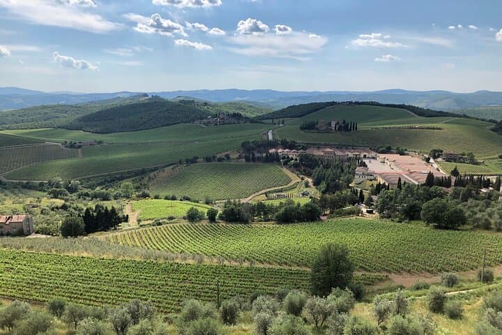 Discover Chianti Classico Wines