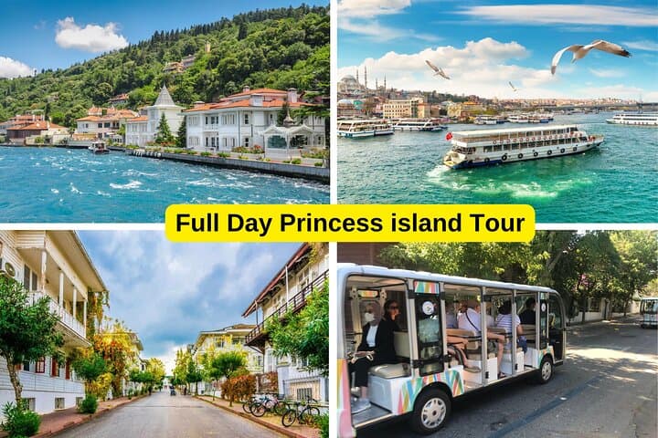 Princes' Islands Tour from Istanbul Lunch Included