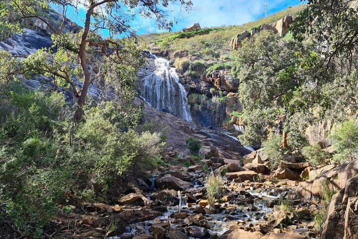 Waterfalls, Wildflowers & Wandoo Hiking Experience