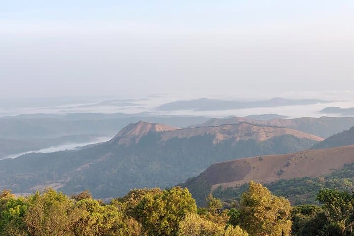 Trek the Kodachadri Summit