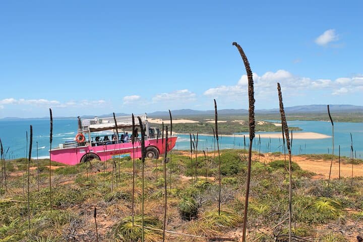 Full-Day 1770 Tour by LARC Amphibious Vehicle Including Sandboarding and Bustard Head Lightstation