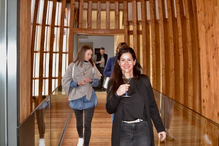 Private Tour and Tasting DE Paris to Champagne