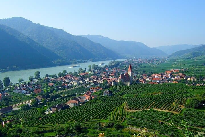 Private Premium Wine Day: 2000 Years of Austrian Wine in Wachau