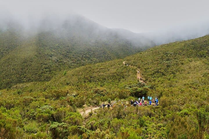 8 Days Kilimanjaro Climb Private Tour - Lemosho Route