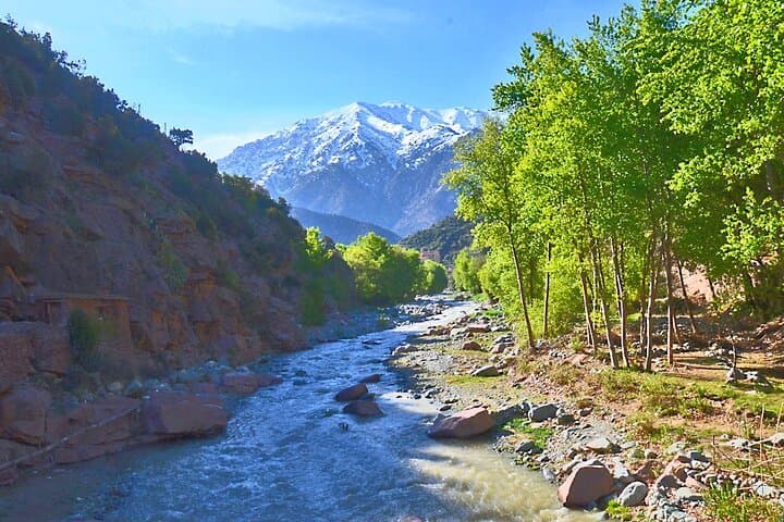 Full Day Excursion Tour to Ourika Valley
