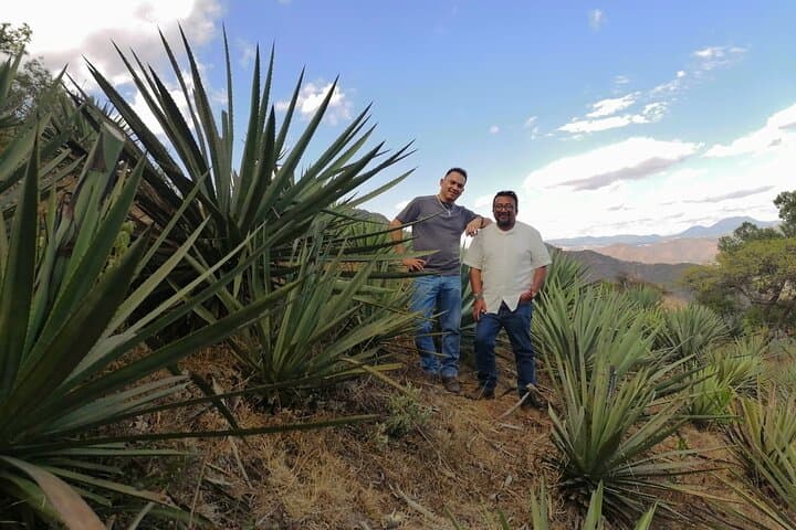 Tour de Mezcal desde Ciudad de Mexico