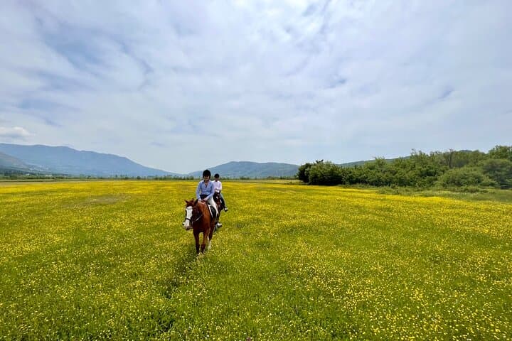 Horseback Riding Across River Ljuta with transport