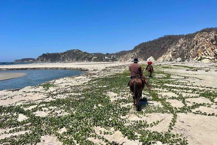 Beach Horseback Riding Adventure in Copalita, Huatulco